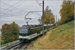 Die beiden MOB Alpina Be 4/4 9202 und ABe 4/4 9302 mit ihrem Regionalzug von Montreux nach Zweisimmen bei der Einfahrt in Sendy-Sollard, einem Bahnhof mit Halt auf Verlangen aber ohne Bahnsteig (und