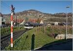 Der CEB MVR ABeh 2/6  Blonay  kurz nach dem Verlassen der neuen Haltestelle Vevey Vignerons, rechts im Bild das Strassennamensschild  chemin des Vignerons , wobei sich die Huser immer weiter in die