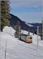 Der BLM Be 4/4 22 ist als R66 von der Grütschalp nach Mürren unterwegs und wird in zwei bis drei Minuten in Winteregg ankommen.