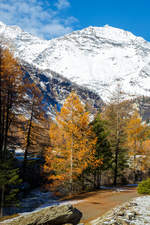 Diverses/722226/bei-cavaglia-an-der-berninabahn-am 
Bei Cavaglia an der Berninabahn am 04.11.2019, im Hintergrund das Berninamassiv.
