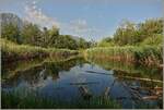 Im Naturschutzgebiet  La Grangettes   (09.06.2023)