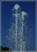 Wassertintenfische...