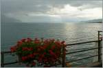 Licht- und Schattenspiel am Genfersee.