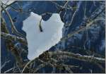 Manchmal findet sich im Wallis vor lauter Gl�ck ein Schneeherz am Baum...