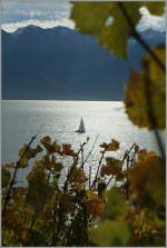 Herbstzauber im Lavaux.
