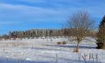   Winterlandschaft bei Nisterberg (Westerwald) am 05.01.2015.