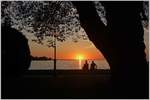Blick in den Sonnenuntergang am Bodensee  (08.09.2016)