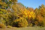 herbst/460862/goldener-herbstzwischen-friedewald-und-langenbach-am 
Goldener Herbst....
Zwischen Friedewald und Langenbach am 27.10.2015, bei diesem Wetter hätte man auch auf der Bank verweilen können.