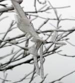Winterliche Impressionen
Pünktlich zum 1. Dezember  hat der Winter auf dem Westerwald Einzug gehalten. 
Die Nebeltröpfchen werden zu Eis an den Bäumen, bei Nisterberg am 01.12.2014.