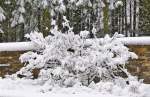 Winter/400092/-winter-in-drauffelt-27122014-jeanny . Winter in Drauffelt. 27.12.2014 (Jeanny)