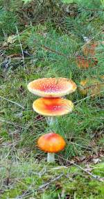 Die kleinen nach vorne, die grossen nach hinten.