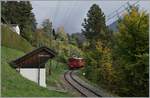 Der Blonay-Chamby Bernina Bahn ABe 4/4 I N° 35 erreicht auf seiner Fahrt nach Blonay die Haltestelle Chantemerle.